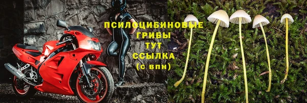 бутират Алексеевка