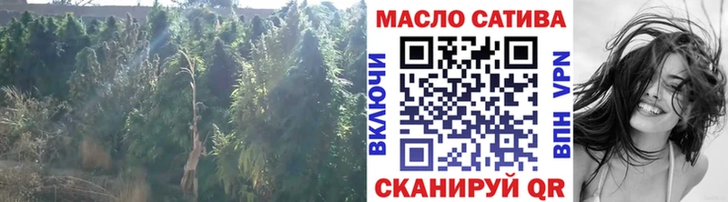 ТГК концентрат Пенза
