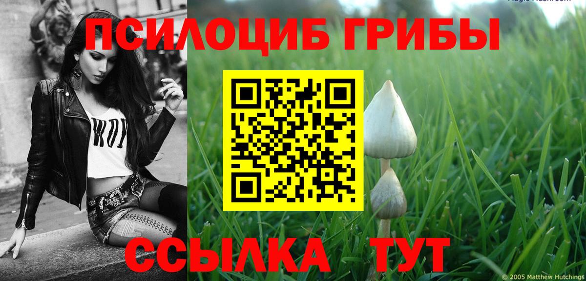 Галлюциногенные грибы Magic Shrooms Пенза