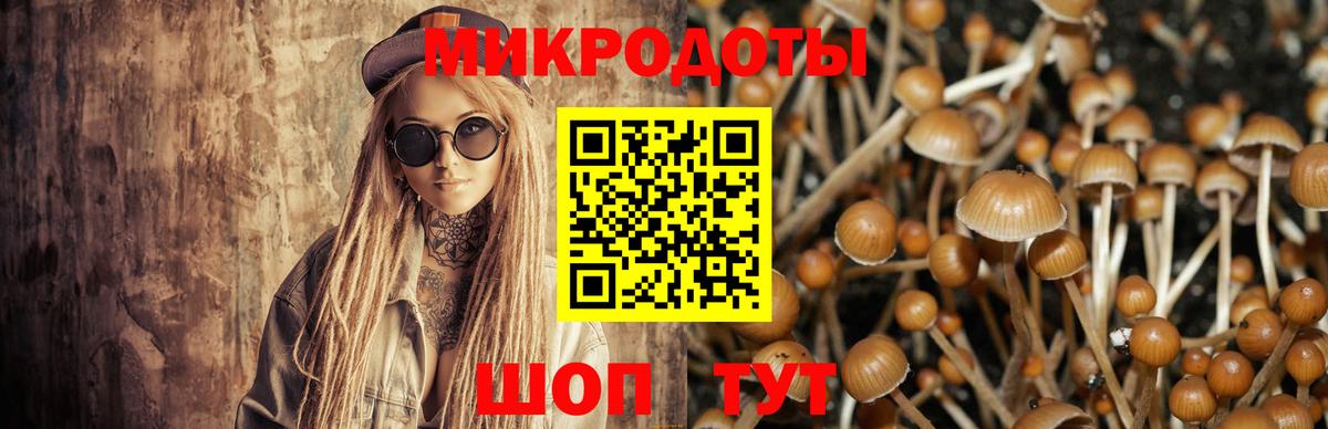 Пенза  Псилоцибиновые грибы мухоморы  Вход с VPN 